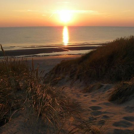 Ammophila 1 Lejlighed Egmond aan Zee Eksteriør billede