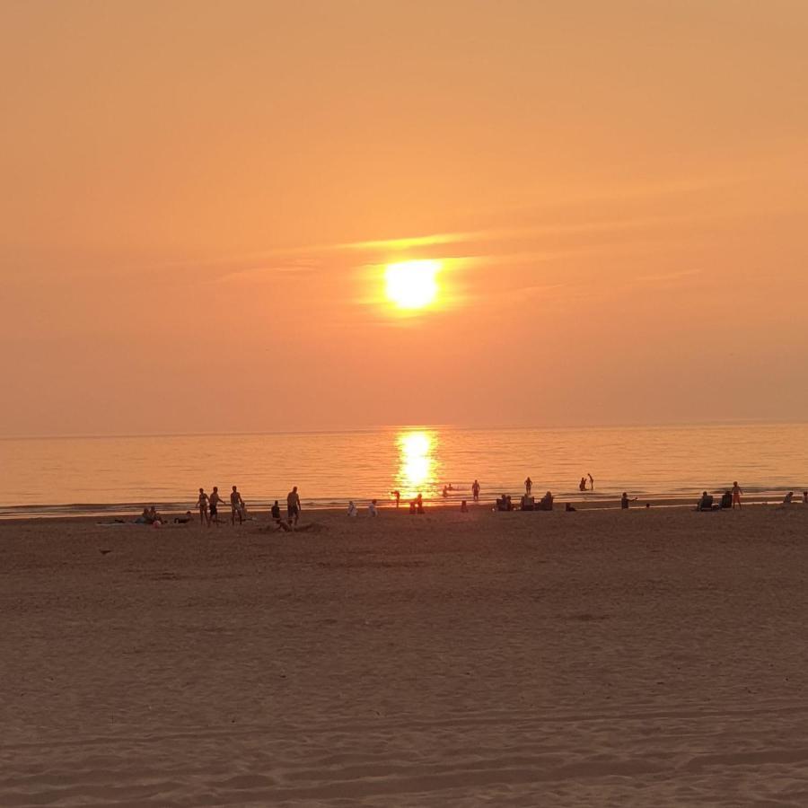 Ammophila 1 Lejlighed Egmond aan Zee Eksteriør billede