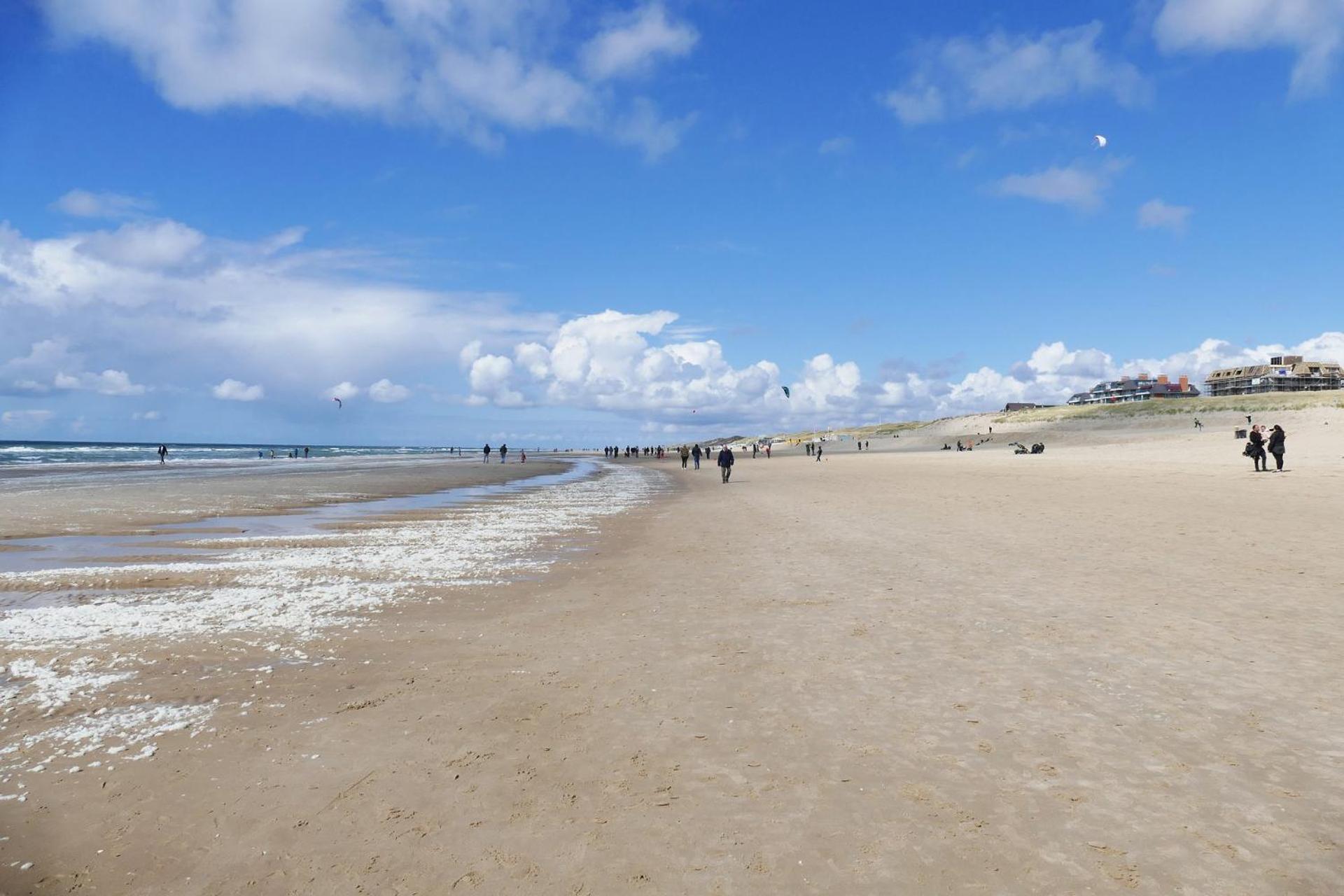 Ammophila 1 Lejlighed Egmond aan Zee Eksteriør billede