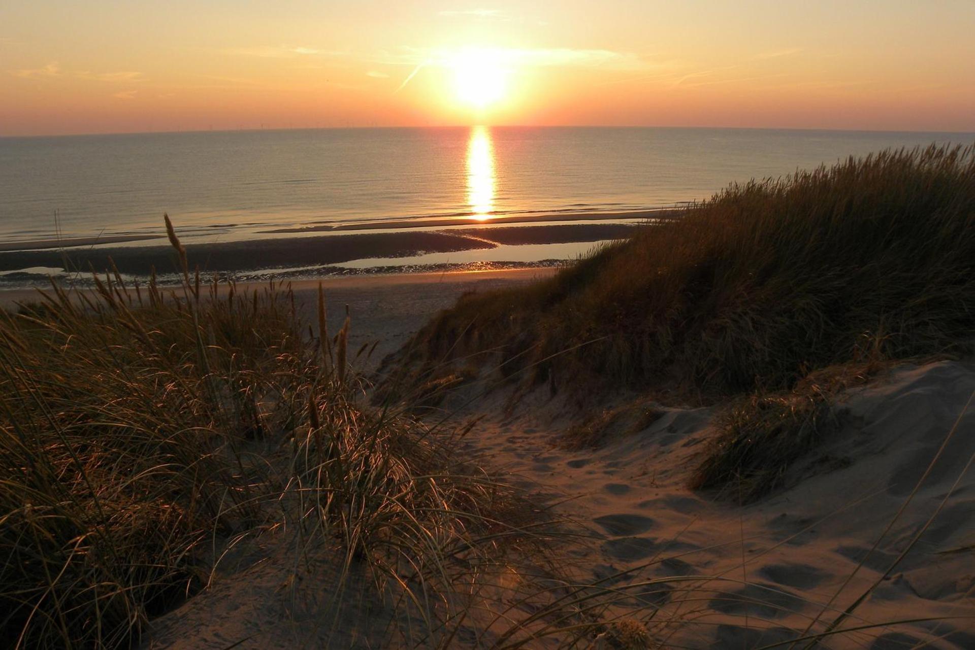 Ammophila 1 Lejlighed Egmond aan Zee Eksteriør billede