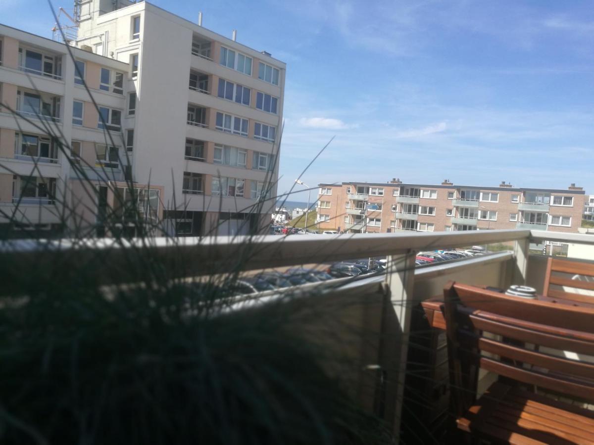 Ammophila 1 Lejlighed Egmond aan Zee Eksteriør billede